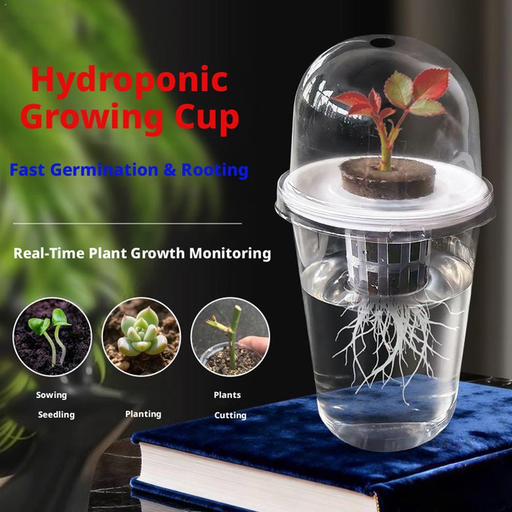 Plant Vegetable Seedling Hydro - đánh giá và giá Hydroponic Tower