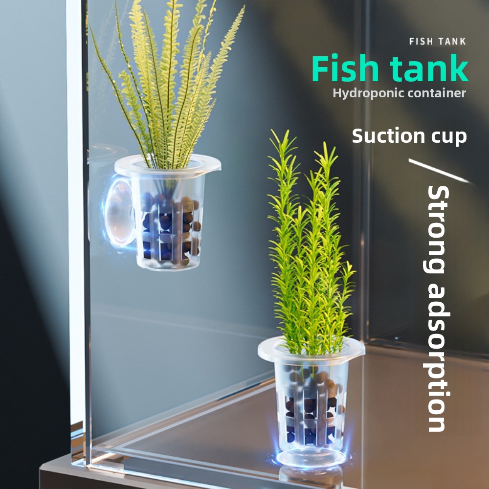 10Pcs Transparent Plant Hydrop - đánh giá và giá Hydroponic Grow Pod