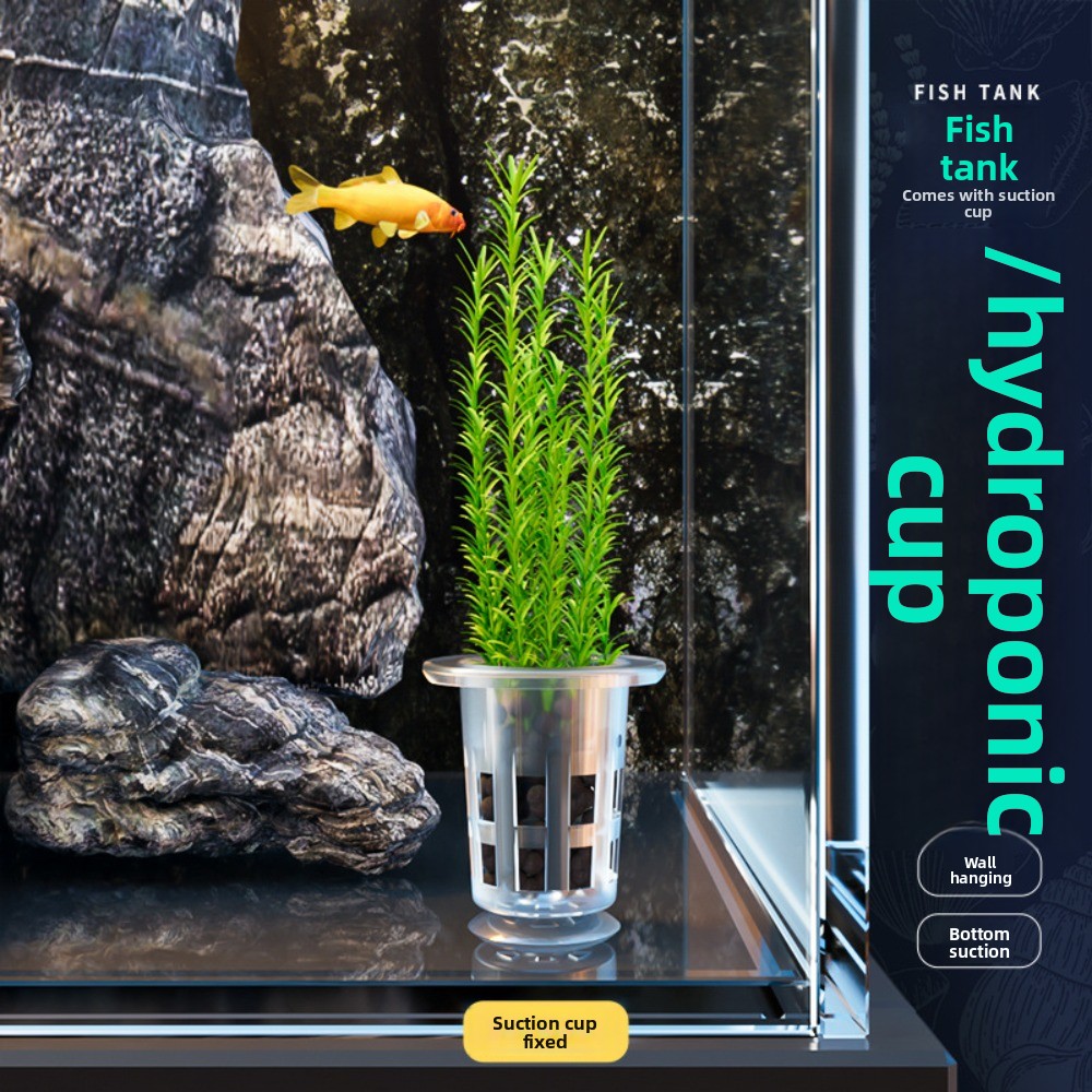 10Pcs Transparent Plant Hydrop - đánh giá và giá Hydroponic Grow Pod