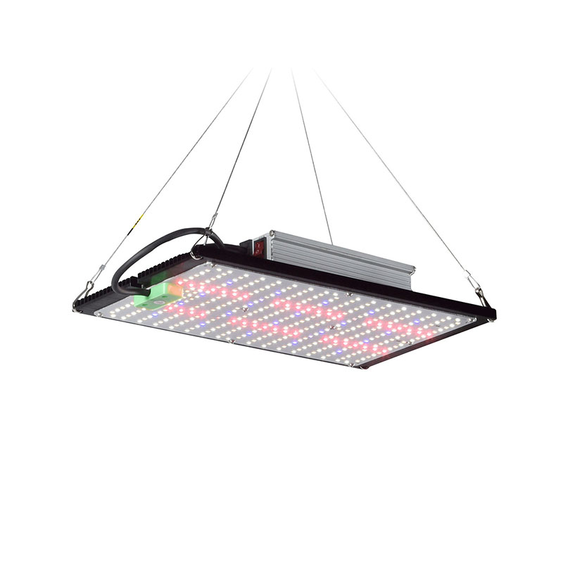 LED Quantum‑Board Grow Light F - đánh giá và giá Plant Grow Light Full Spectrum