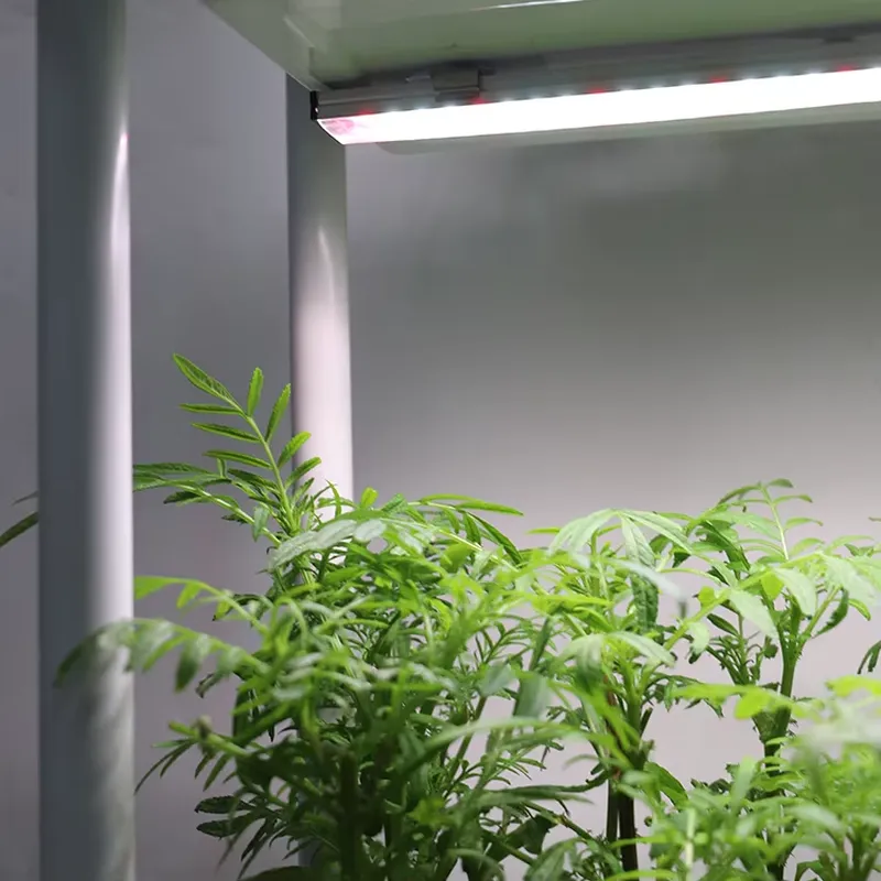 Movable Vertical Grow 3 Level  - đánh giá và giá Self Watering Planter