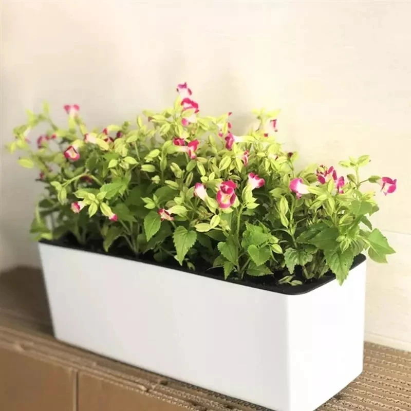 Rectangula Lazy Flower Pot Pot - đánh giá và giá Hydroponic Grow Pod