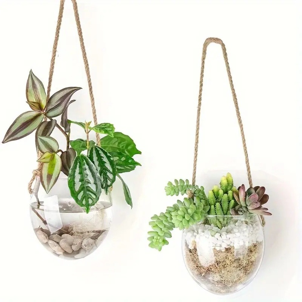 Transparent Hydroponic Hanging - đánh giá và giá Hydroponic Grow Pod