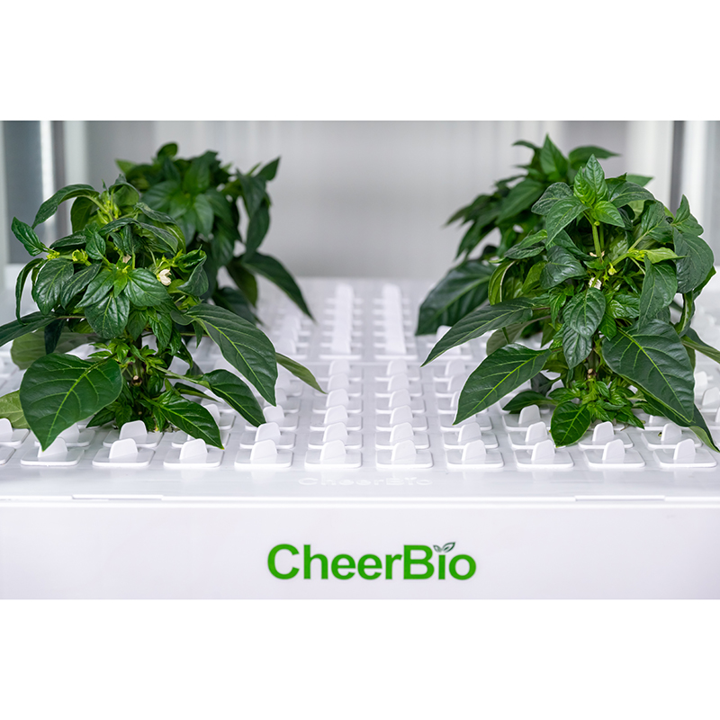 New   Intelligent Planting Sys - đánh giá và giá Indoor Garden Kit