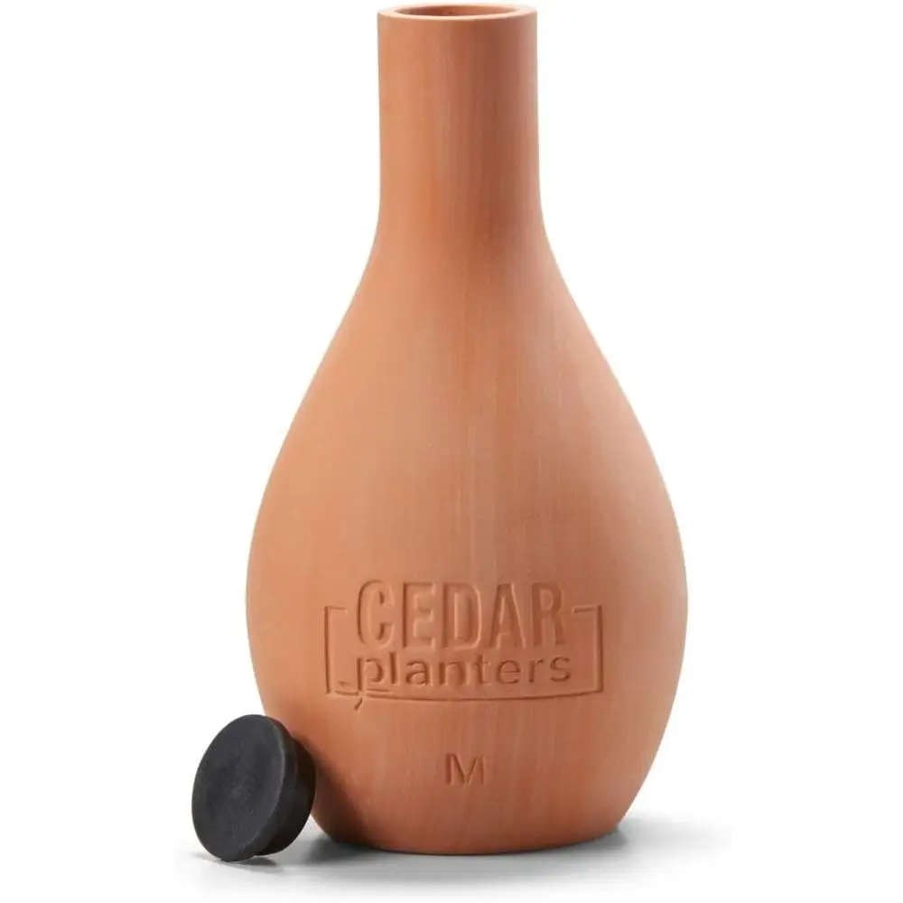 Self-Watering Ceramic Olla Pot - đánh giá và giá Self Watering Planter