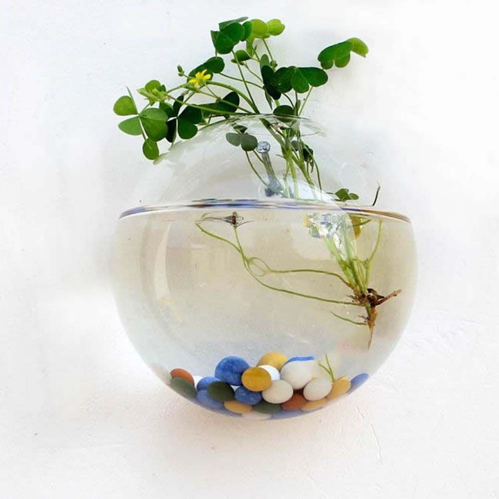 Transparent Glass Vase Wall Ha - đánh giá và giá Hydroponic Grow Pod