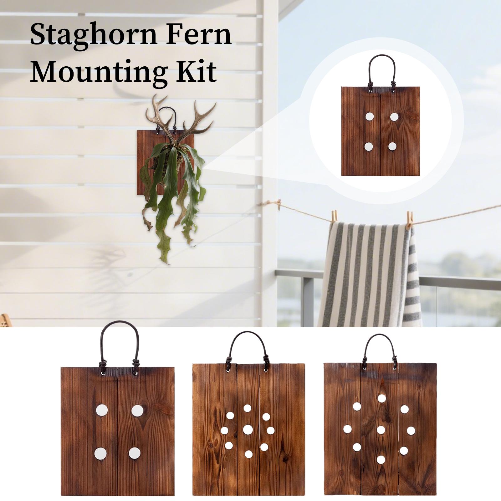 Staghorn Fern Wall Mount Board - đánh giá và giá Indoor Garden Kit