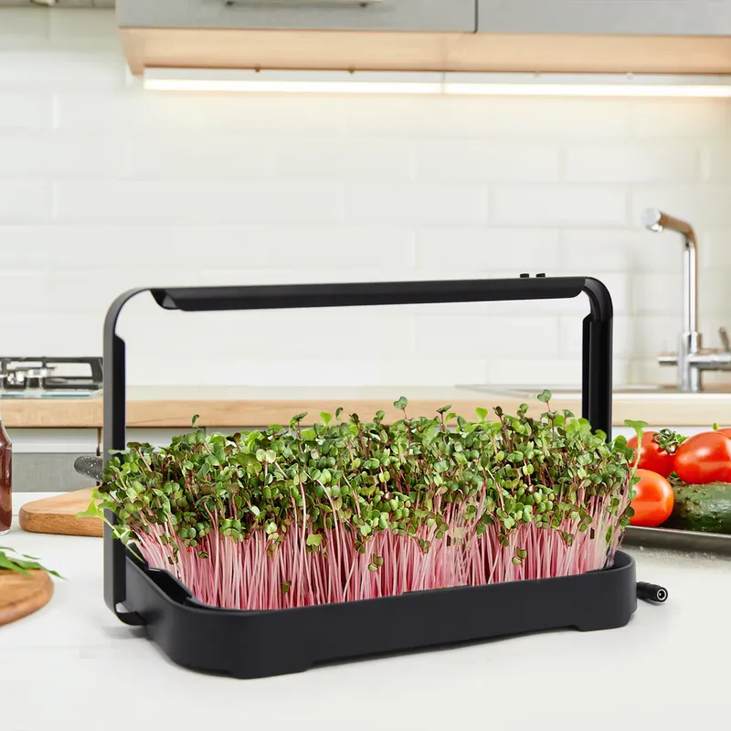 Hydroponic Tray Indoor Microgr - đánh giá và giá Indoor Garden Kit