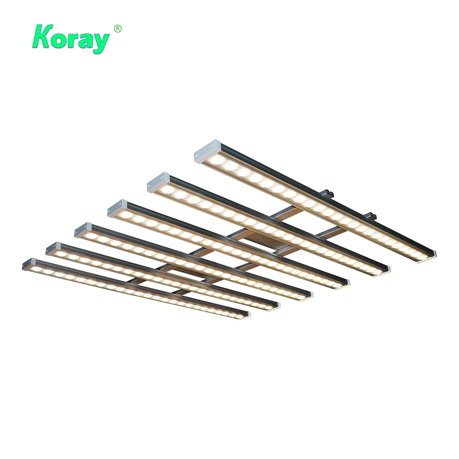Koray 900W Indoor full spectru - đánh giá và giá Plant Grow Light Full Spectrum